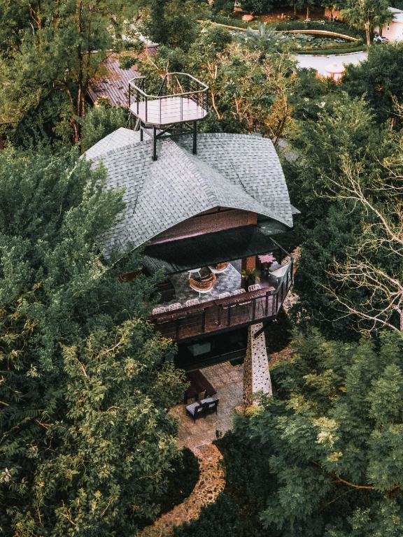 The Chamuang Forest — photo 1