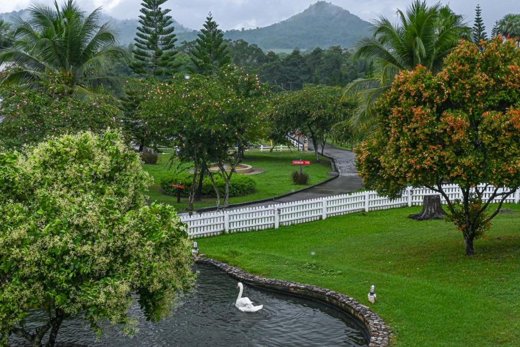 Swiss Valley Hip Resort photo 3