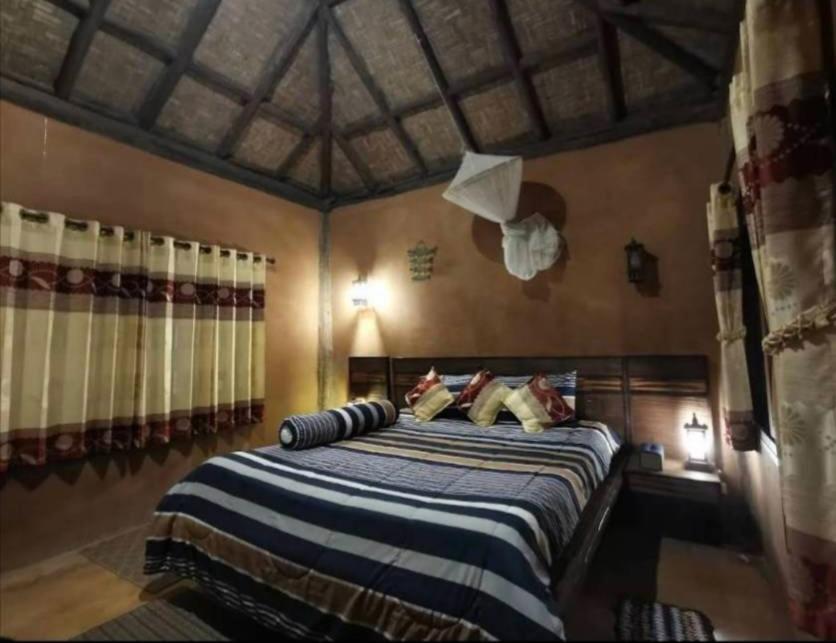 Tafelberg detached bungalow with swimming pool photo 2