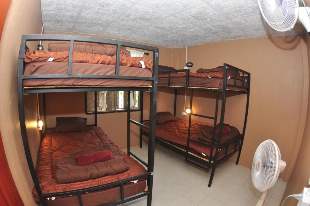 Sharky's Hostel photo 2