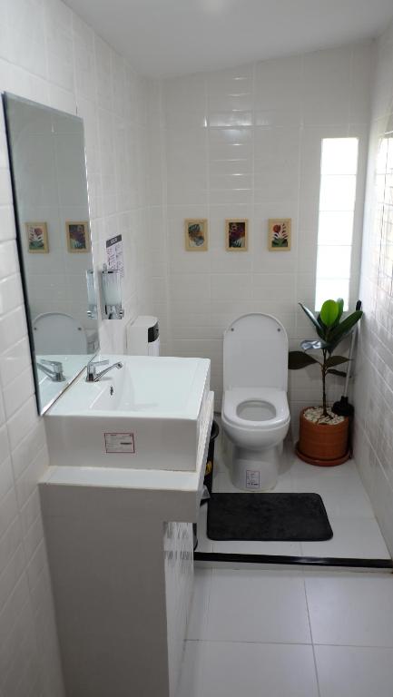 Sharky's Hostel photo 3