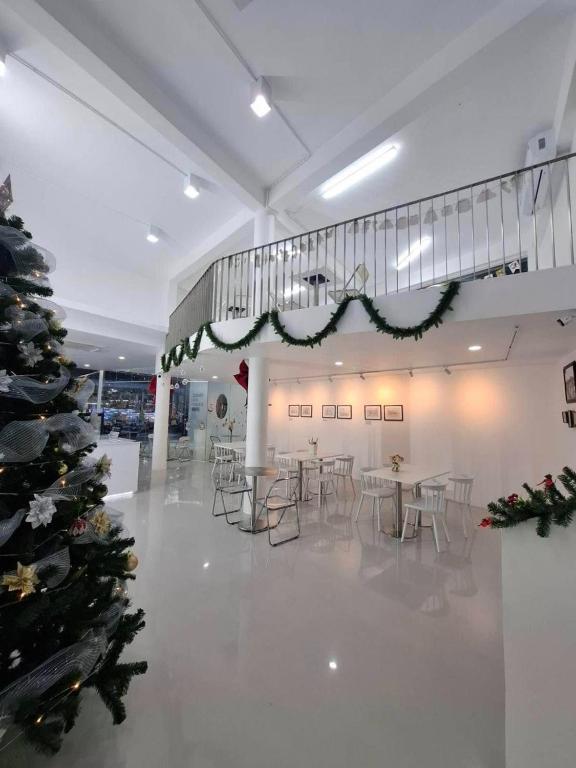 Scenario Cafe and Hostel photo 3
