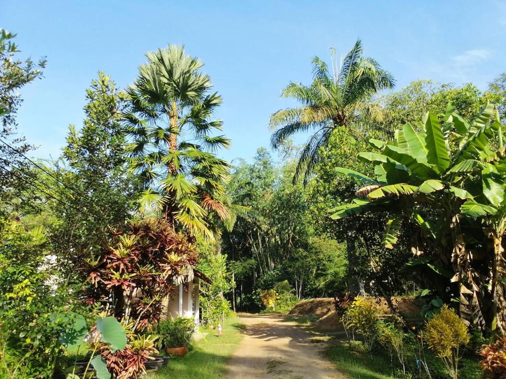 Suan Bang Bon Guest House photo 2