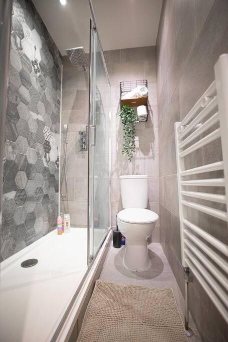 Hammersmith Apollo 1 Bedroom Apartment photo 3