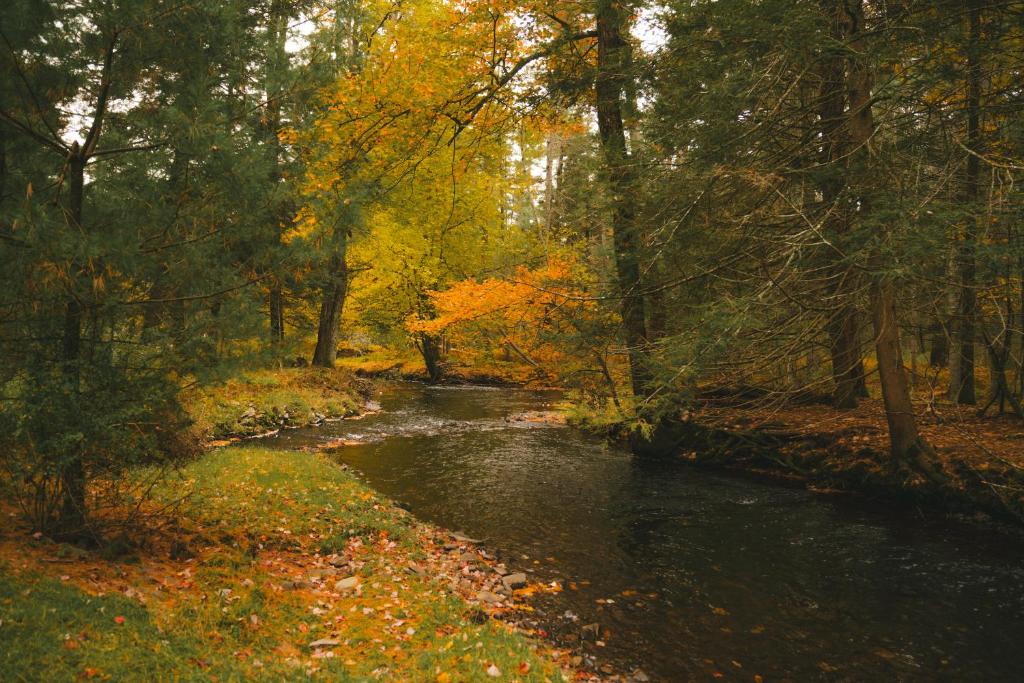 Enchanting River- Water Front A-Frame Cabin photo 2