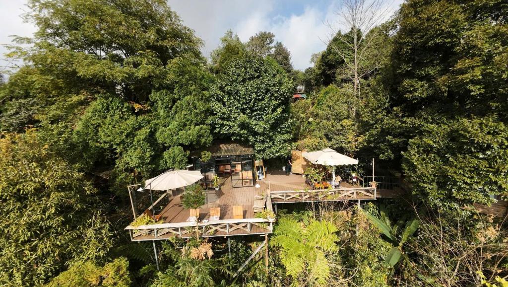 Sapa Jungle Homestay — photo 1