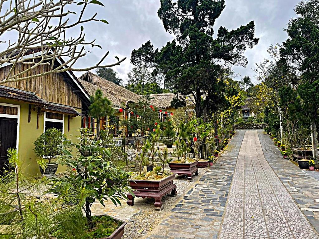 Pine Garden Homestay - Nhà trong vườn — photo 1