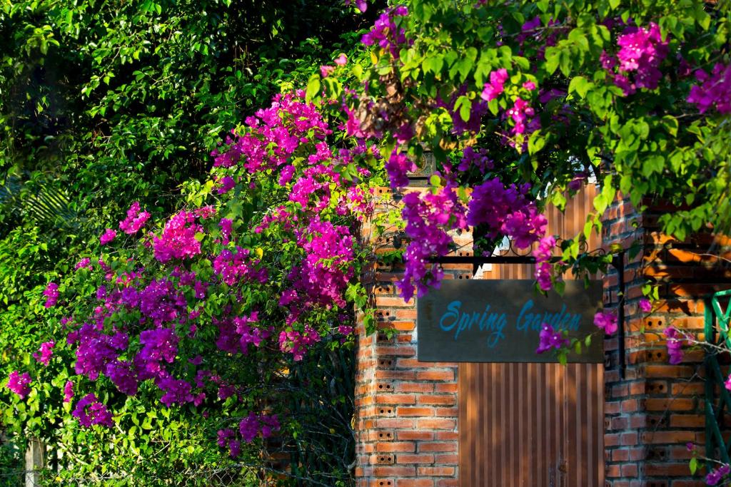 Spring Garden Homestay — photo 1