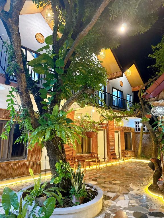 Tam Coc Charming Bungalow photo 3