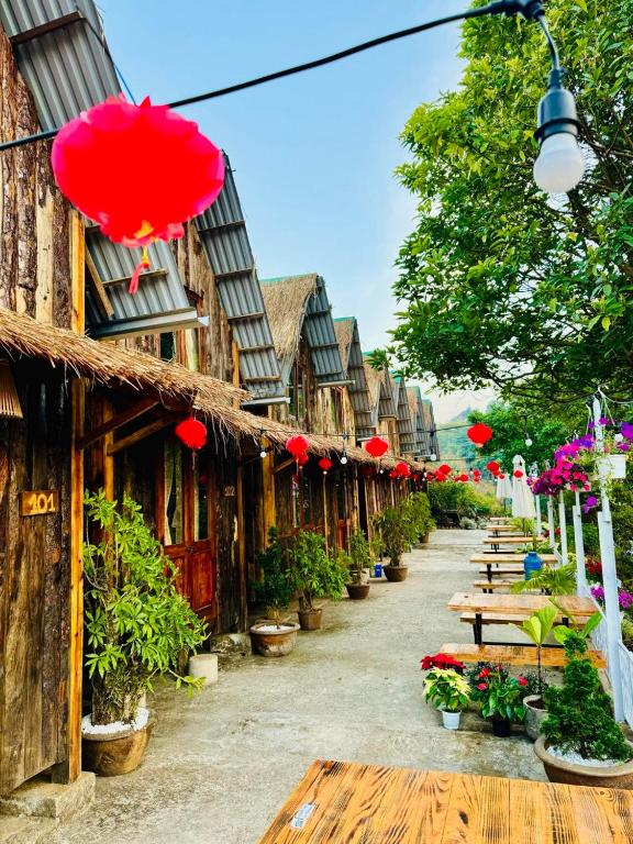 Thiên Thảo Homestay — photo 1