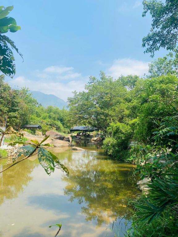 Suối Mơ Dốc Tình Glamping & Retreat photo 2