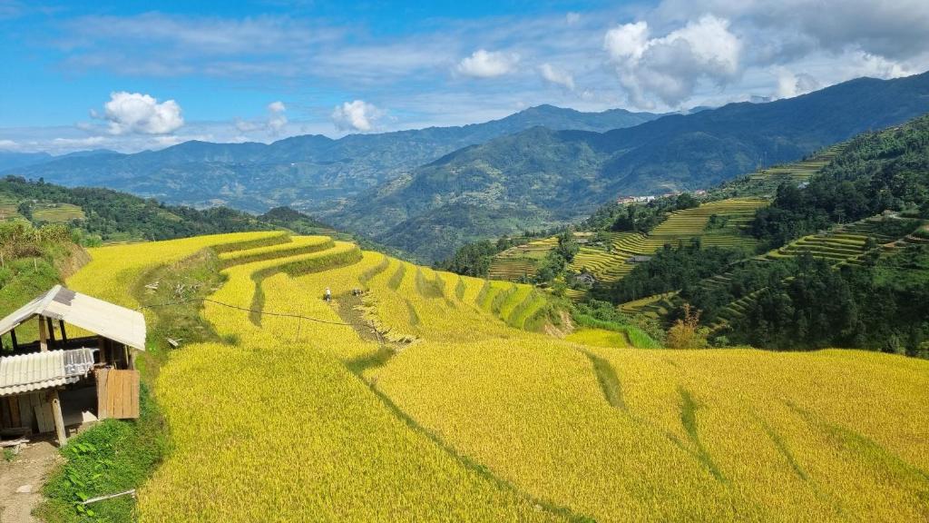Riz d'Or Ermitage - Hoang Su Phi — photo 1
