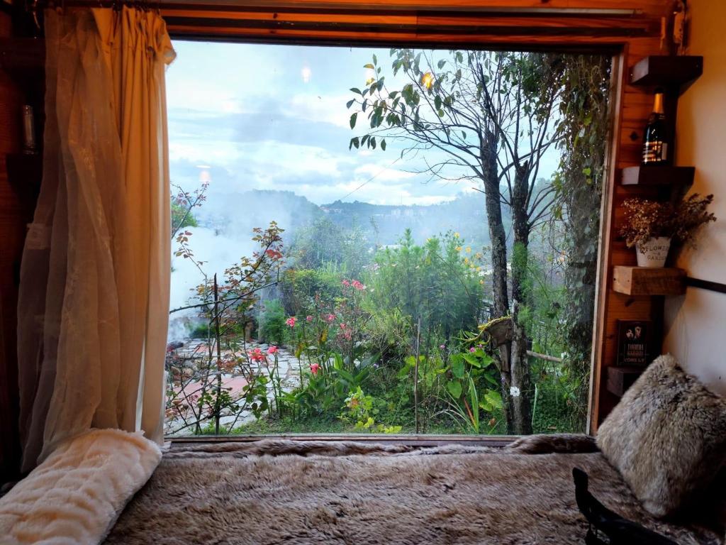 Romantic house on a pine hill Dalat photo 3