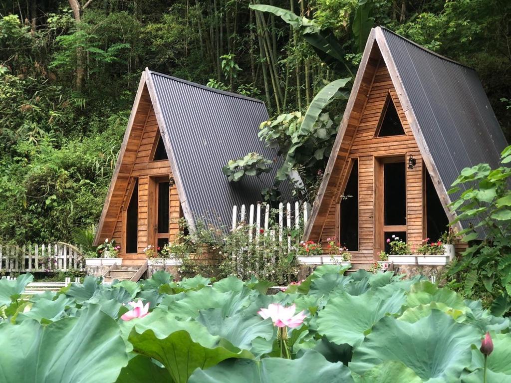 Homestay Điện Biên- Thung Lũng Hoa Hồng photo 2