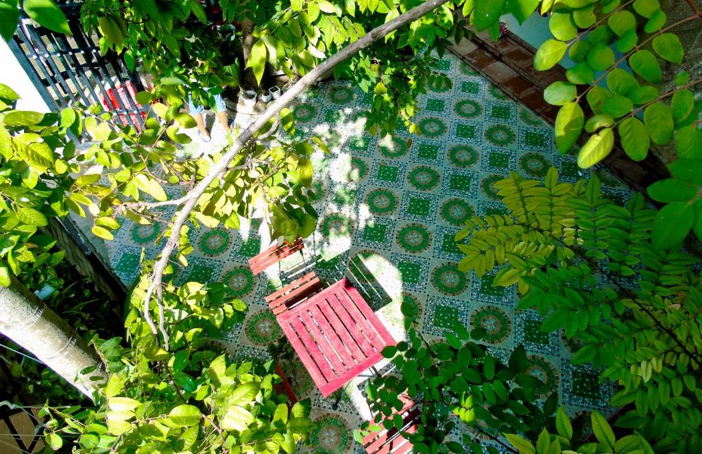 Xanh Lá Homestay Hội An — photo 1