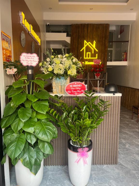 Tom Homestay Cao Bang - Motorbike rental photo 3