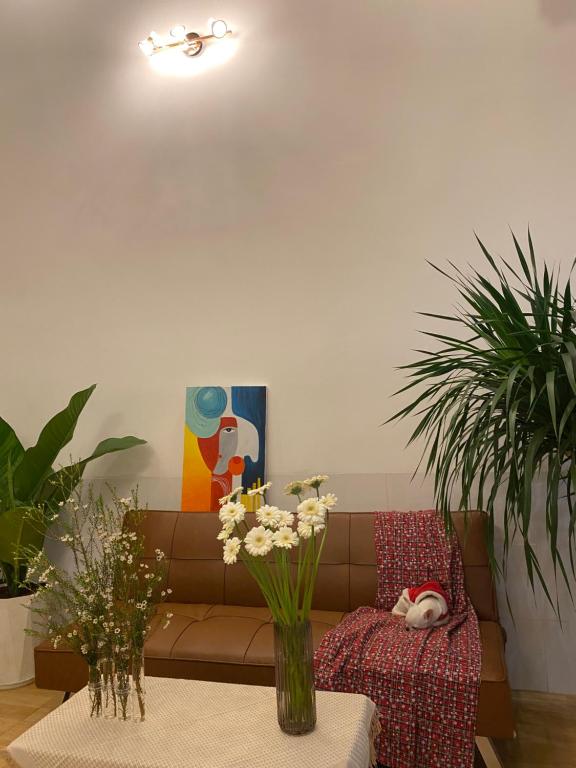 home home photo 3