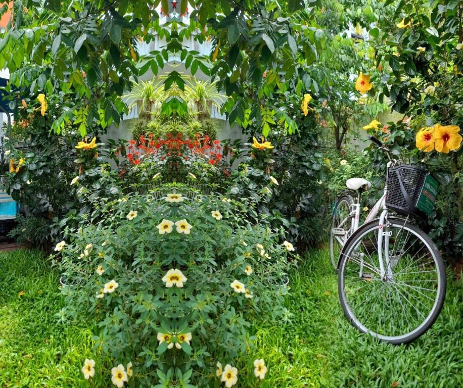 Star Garden Hoi An — photo 1