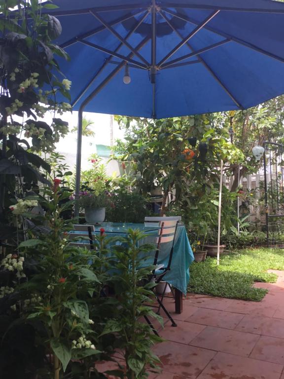 Star Garden Hoi An photo 3