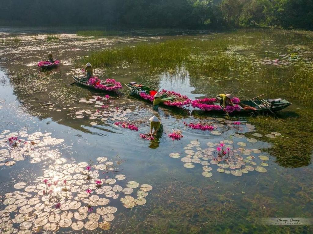 Tam Coc Paradise Homestay photo 2