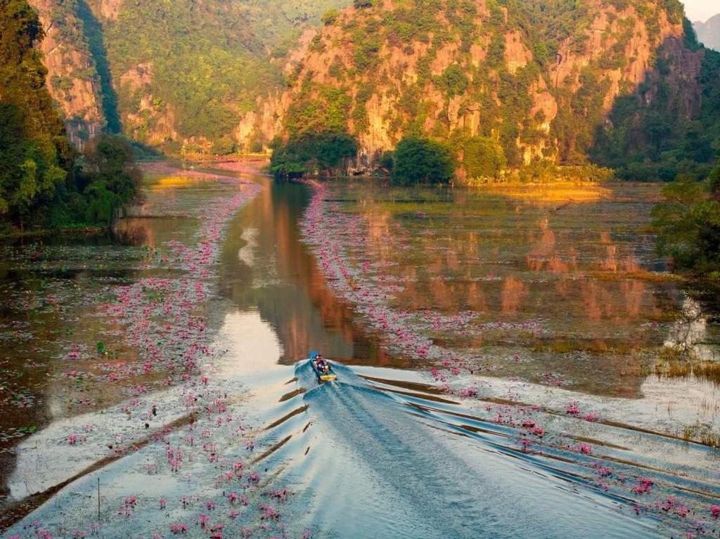 Tam Coc Paradise Homestay photo 3