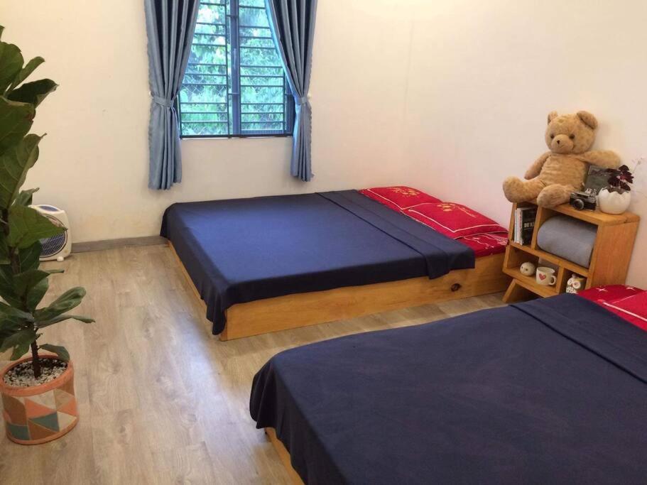Tam An Lakeview Homestay photo 2