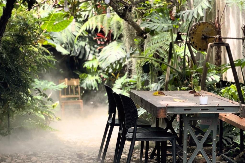 Thỏ Non Garden - Bảo Lộc Center 02 — photo 1