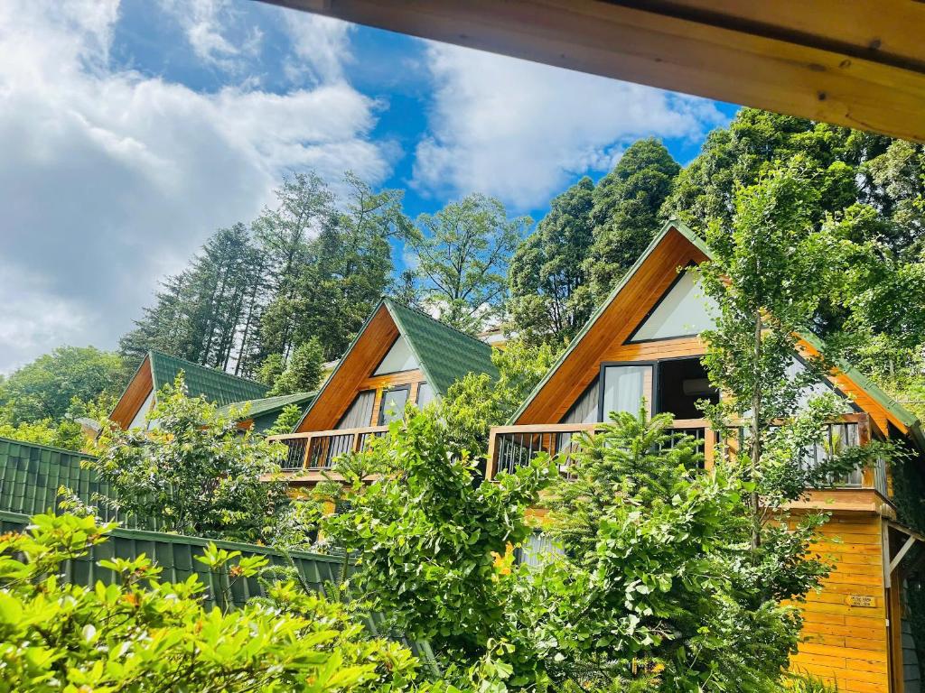 Sapa Pine Hill Eco Lodge photo 2