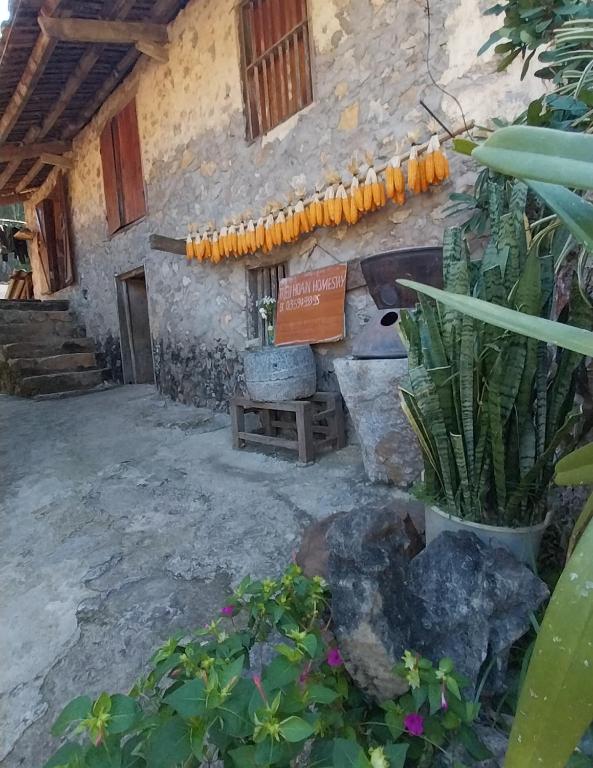 Trieu Hoan homestay — photo 1