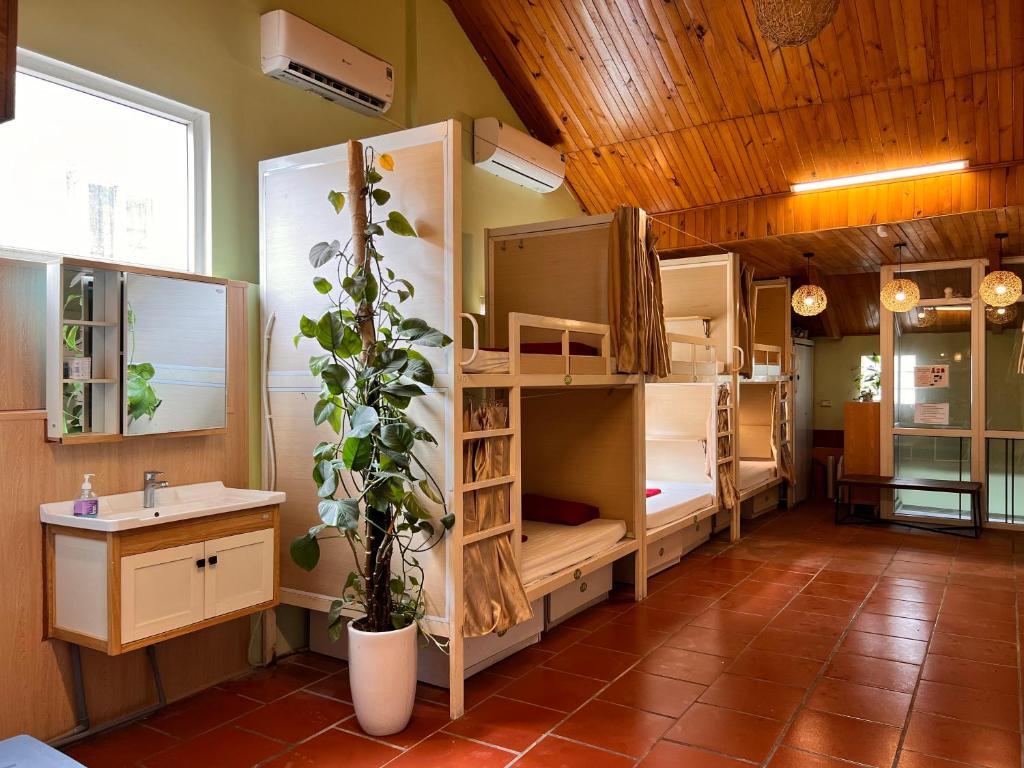 Hanoi EcoStay 1 hostel photo 3