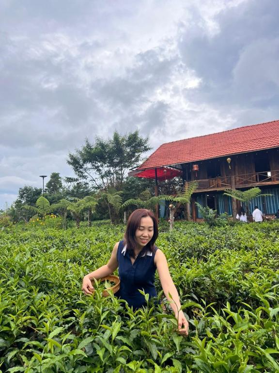 Tea Garden House — photo 1