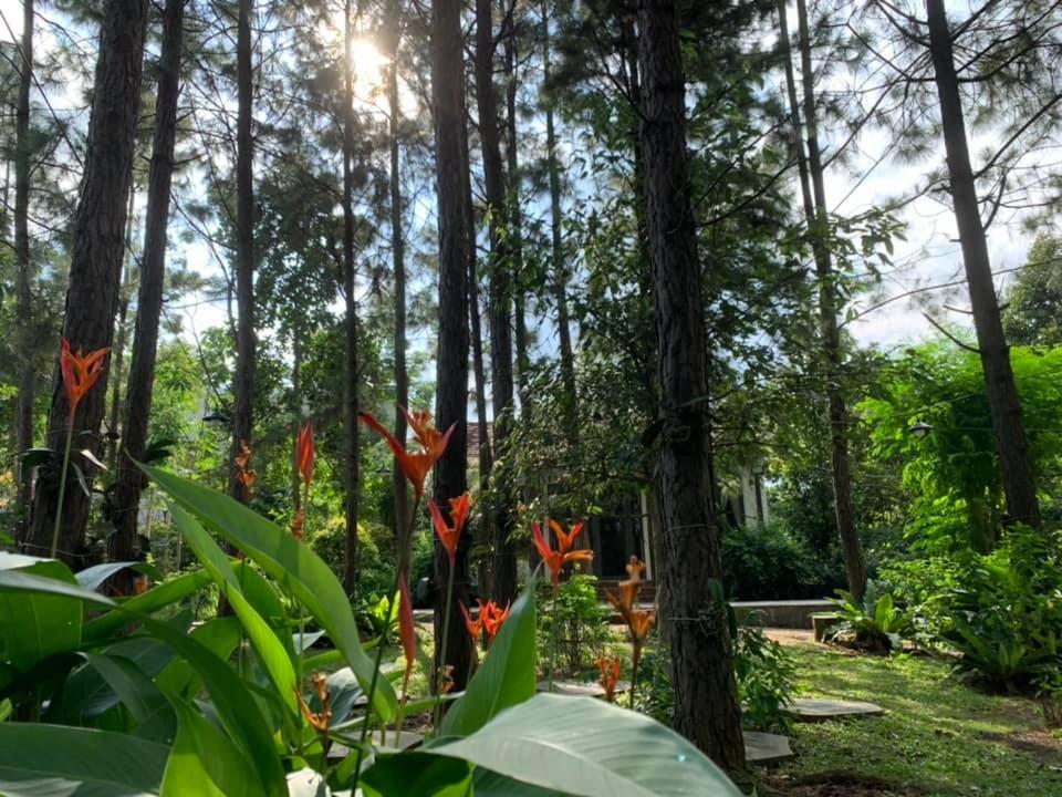 Suoi Rao Ecolodge — photo 1