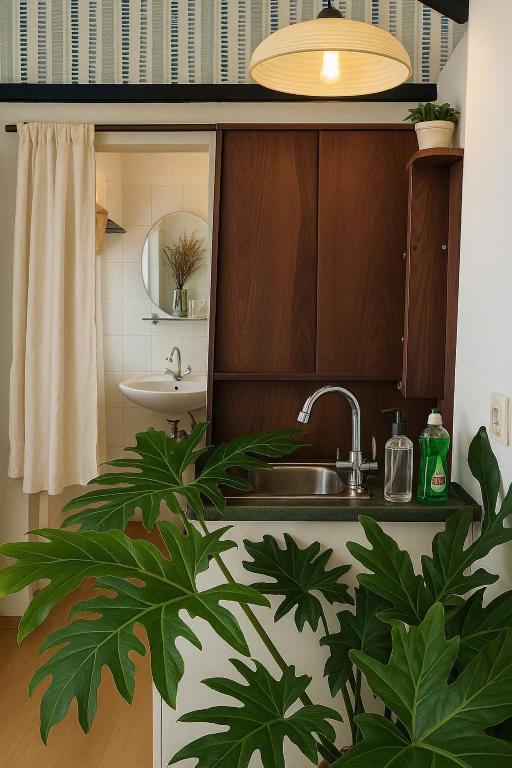Sau Mua Home Saigon Homestay photo 3