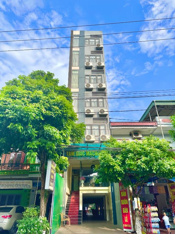 Tam Giác Mạch Hotel — photo 1