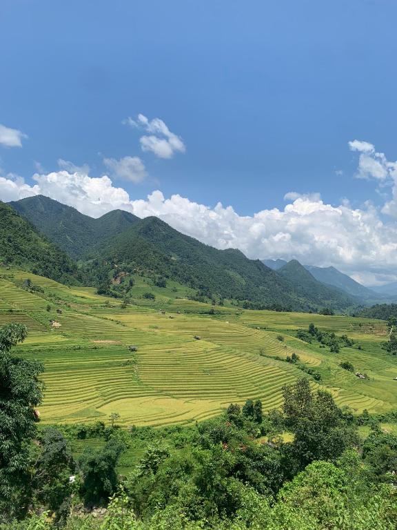 The Zen House Sapa — photo 1