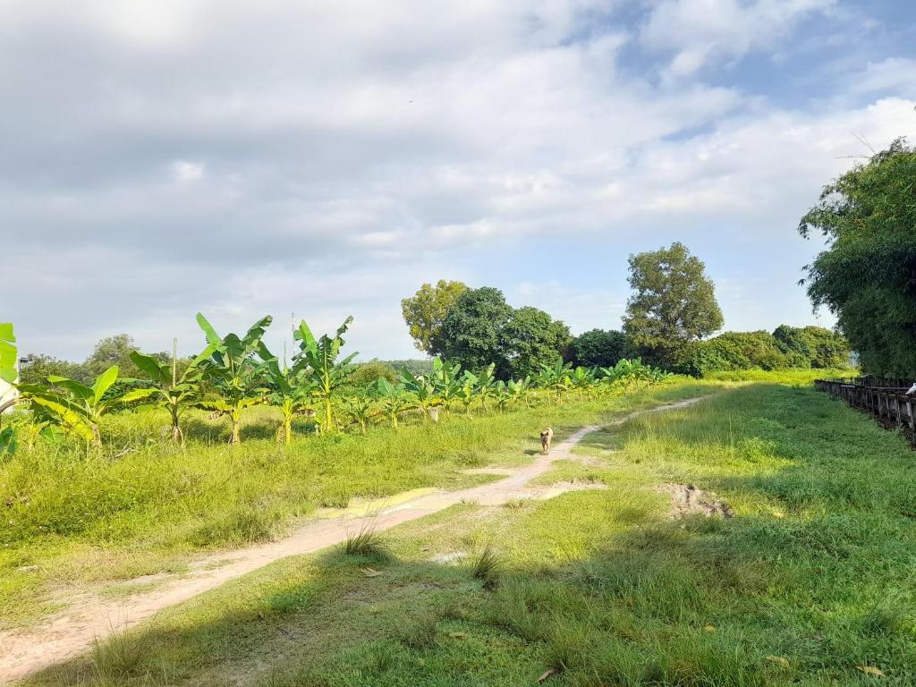 Cu Chi Boutique Countryside photo 2