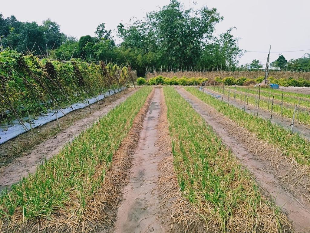 Cu Chi Boutique Countryside photo 3