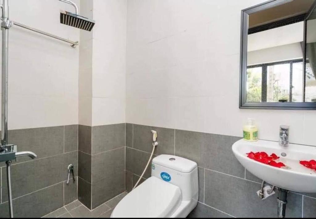 Sunny Homestay Hoi An photo 3