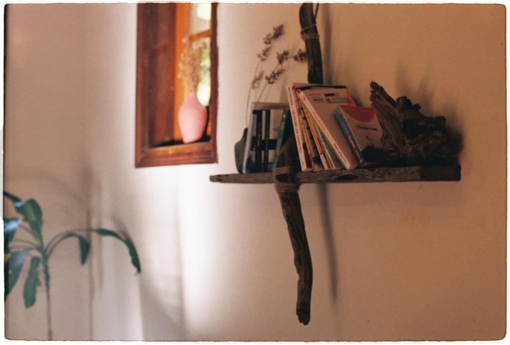 Sum Villa Homestay Mang Den photo 2
