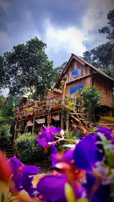 Tổ Chim Ri Homestay Măng Đen — photo 1