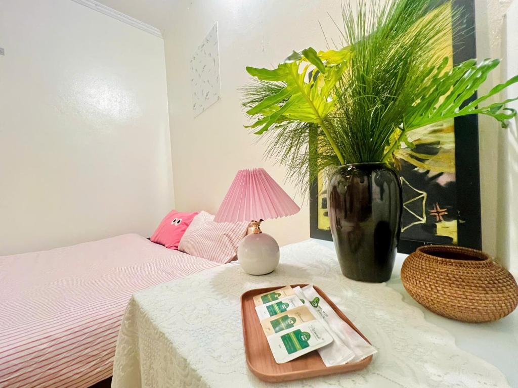 SanHo Homestay photo 2