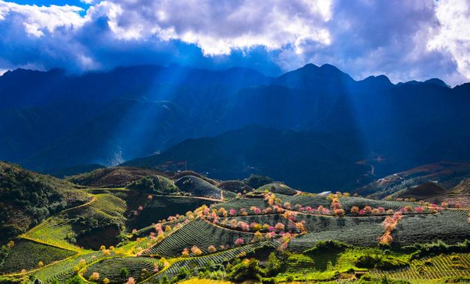 Sapa Dao Homestay — photo 1