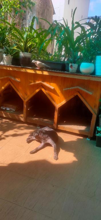 Huong's Homestay — photo 1