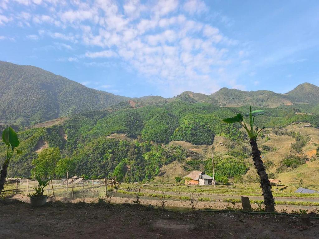 ZOZO Sapa Homestay & Trekking photo 3