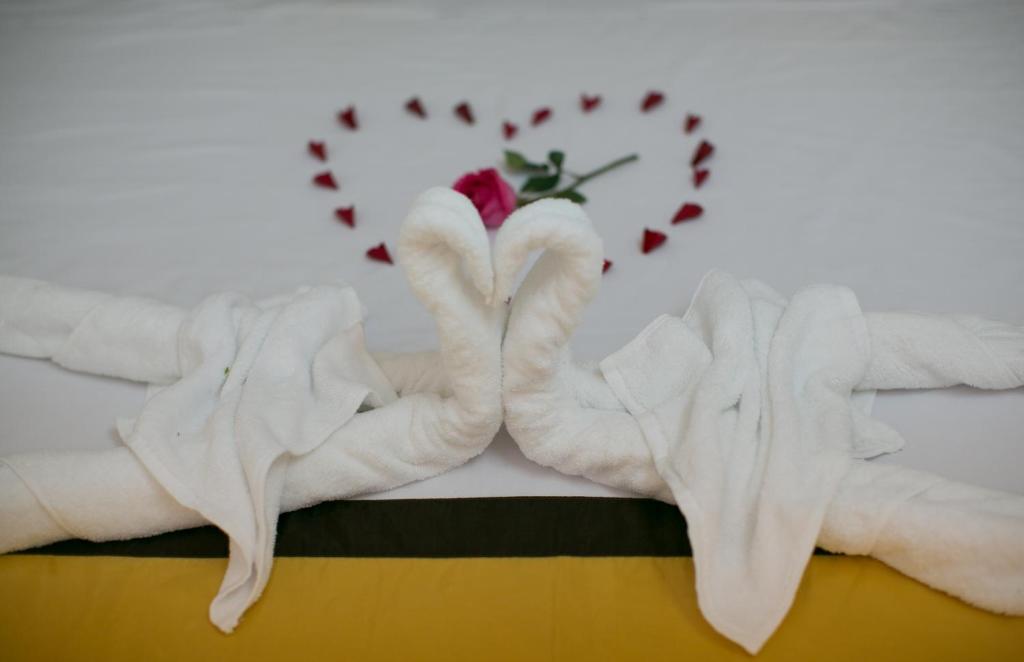 Snow Pearl Homestay Hoi An photo 3