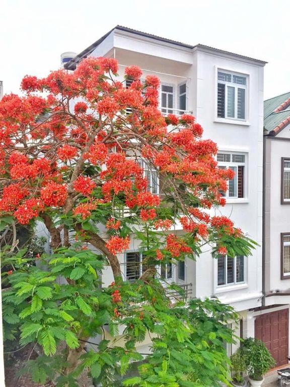 Tuân Thuỷ hotel đảo Quan Lạn photo 3