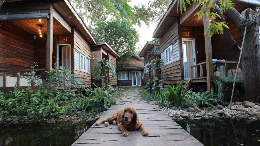 The 47 House Homestay BMT — photo 1