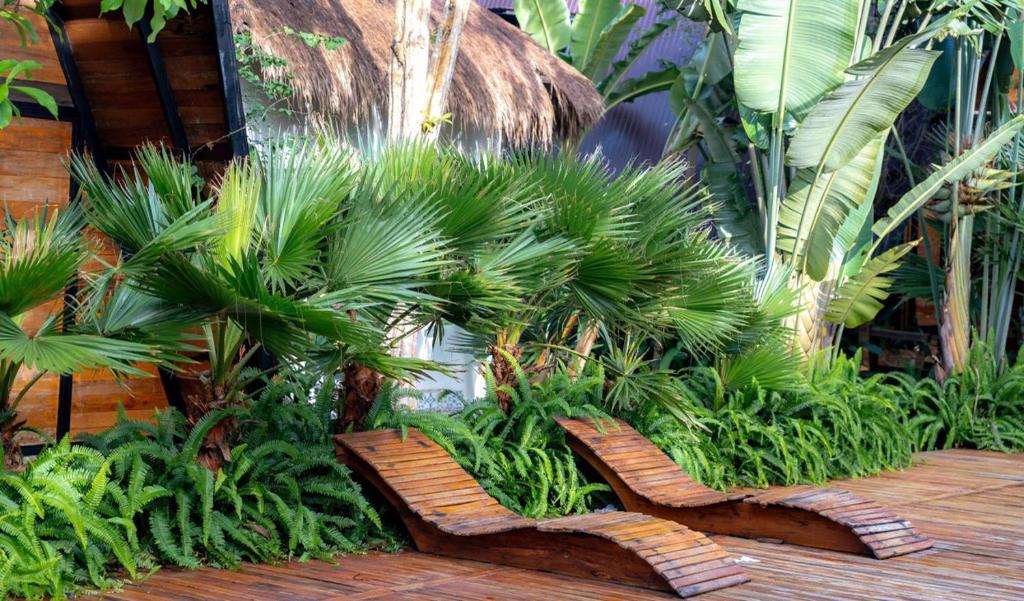 Tiên Sơn Pleiku Homestay photo 2