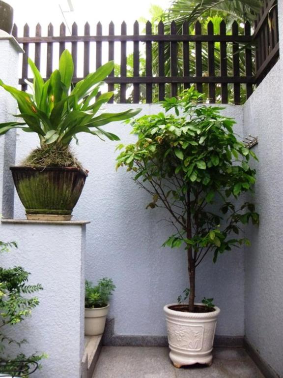 Shanti-blissed corner of Saigon river's end — photo 1
