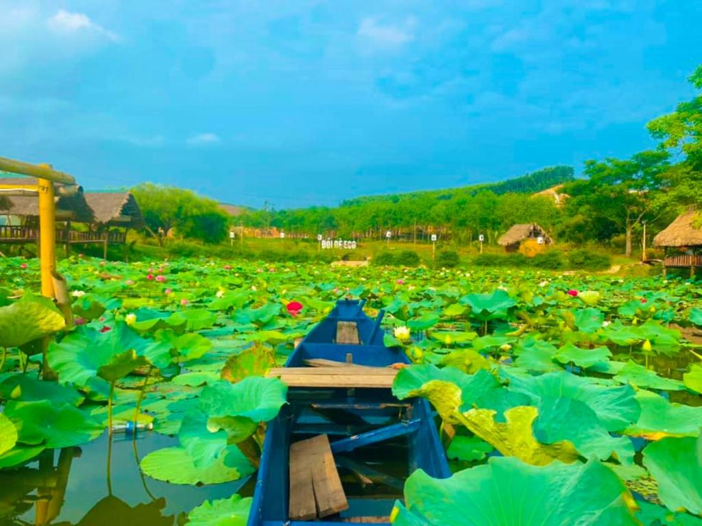 Đồi Dẻ Eco HomeStay photo 3